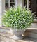 Artificial Outdoor Flowers 20 Bundles UV Resistant White Faux Plants for Garden Decor